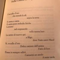 154702627_2155782687885472_1263730215094636186_n