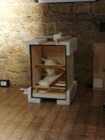 PHOTO-2024-11-04-11-14-09