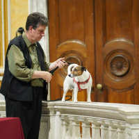 resize-image-online.com_DSC00591JPG_d2WCBROW