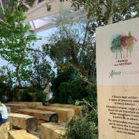 salone-5